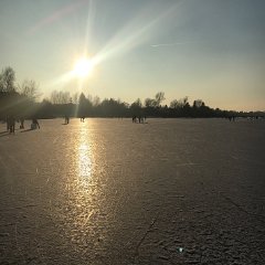 IMG 016